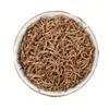Venta al por mayor Lapsang Souchong Zona de producción central de Wuyishan Té fresco de Wuyishan Souchong de Wuyishan Té negro Laocong