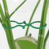 Fornecimento em Massa do Fabricante de Anéis de Fivela em Oito para Jardinagem, Fivelas Borboleta, Anéis de Abóbora, Amarras para Fixação de Plantas e Clipes de Fixação para Uso Doméstico