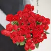 Mudas de Rosa Vermelha em Vasos para Varanda Pátio Flores e Plantas Verdes de Interior Mudas de Rosa Extra Grandes e Perfumadas