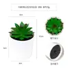 Más de 100 Tipos de Combinaciones de Plantas Suculentas Mini de Plástico Simuladas en Maceta, Mini Bonsáis Suculentos Más Vendidos Transfronterizos, Decoración para el Hogar, Adornos Creativos