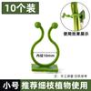 Fijador para Pared de Plantas Verdes Trepadoras, Clip de Fijación para Plantas Verdes Trepadoras, Gancho de Pared, Varilla Adhesiva para Plantas Trepadoras, Red de Malla para Dar Forma a Plantas Trepadoras