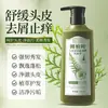 500ml Grande Capacidade Tamanho Família Qiwetang Shampoo Antiqueda Extrato de Folha de Platycladus Gengibre Planta Medicinal Fabricante Entrega