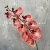 Decoración de Mesa Escandinava de Falenopsis de 9 Cabezas Impresa en 3D Película Floral de Boda Flor Artificial de Falenopsis Accesorios para Fotografía
