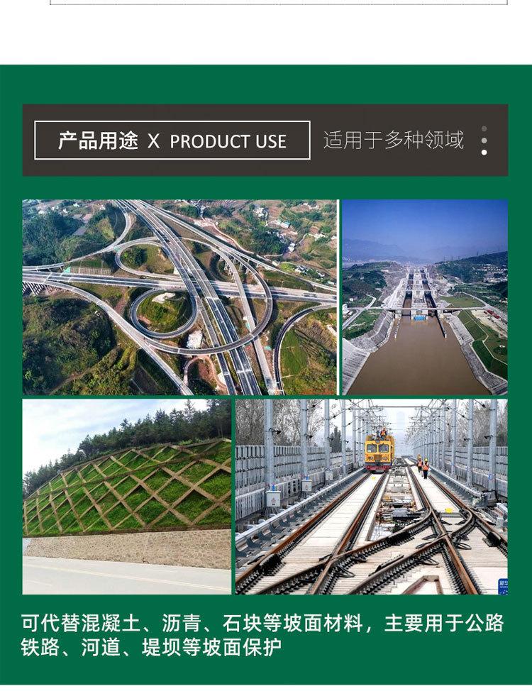 三维植被网_04.jpg