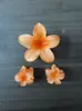 Venda Quente Transfronteiriça Flor Plumeria Cabelo Gradiente Flor Cabelo Grampo de Cabelo Conjunto de 18 Peças Rabo de Cavalo Acessórios de Cabelo Tubarão Material de PC Yiwu