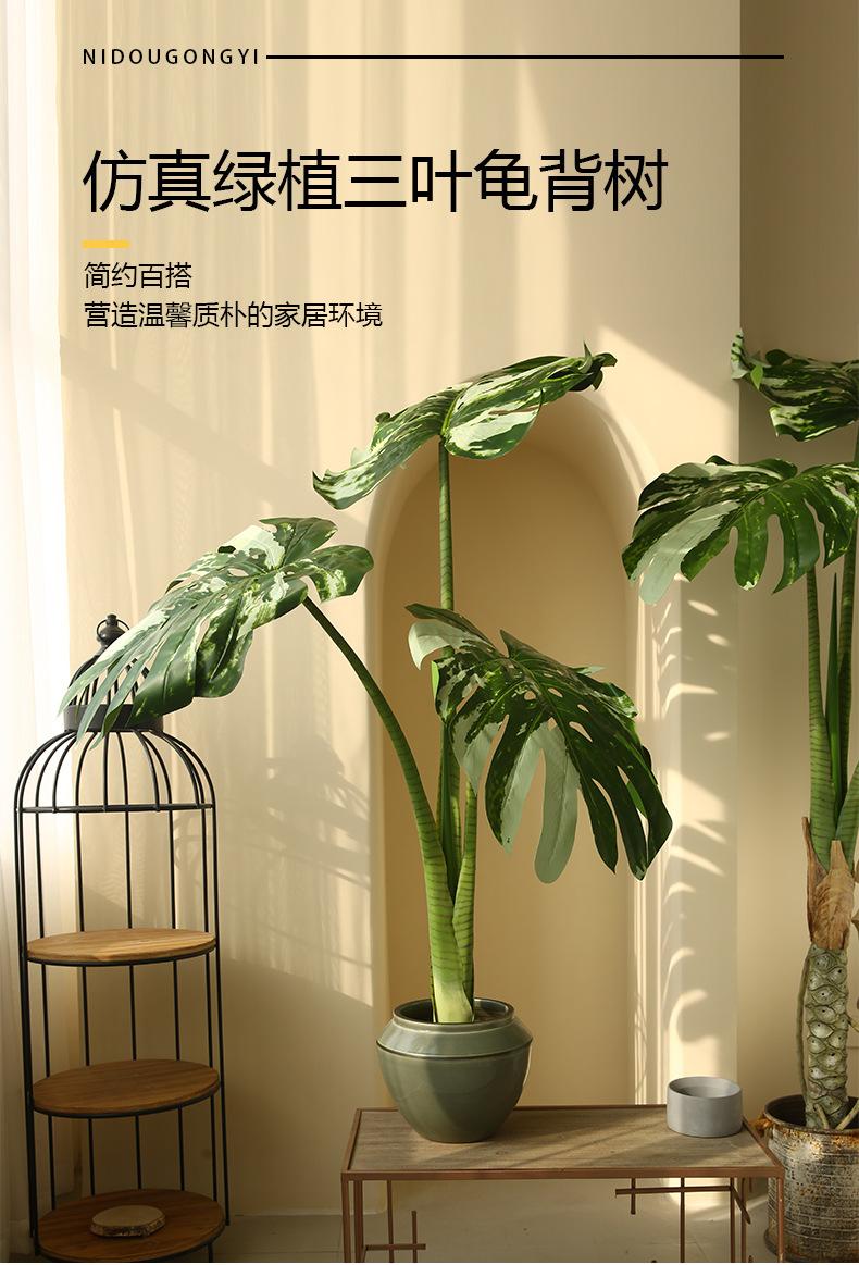 详情页_01.jpg