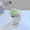Suculenta Pequeño Bonsái Cerámica Muebles para el Hogar Decoración Fabricante de Jinhua Plantas Verdes Aliexpress Flor Artificial Plantas en Maceta