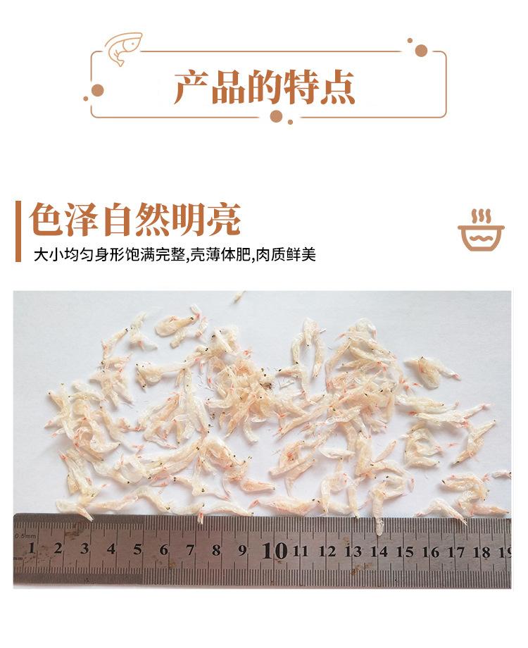虾米_07.jpg