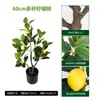 Planta em Vaso Artificial de Limoeiro Transfronteiriço, Grande Planta Artificial Verde para Interior, Árvore Falsa, Ornamento Decorativo de Chão para Sala de Estar