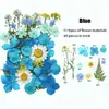 Kits de Materiais DIY com Flores Secas e Prensadas Transfronteiriços, Marcadores de Página com Flores Prensadas Naturais, Decoração de Capa de Celular com Resina e Espécimes de Plantas Venda por Atacado