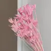 Flores Secas, Flores de Anis Estrelado, Buquês de Flores Preservadas, Flores Decorativas para Plantas no Atacado, Adereços para Fotografia, Fornecimento para Exportação Transfronteiriça do Dia das Mães
