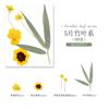 Flor seca en relieve, venta al por mayor, muestra de planta, marco de fotos de flores, marcapáginas, pegamento, carcasa de teléfono móvil, maquillaje facial DIY, material de flores reales