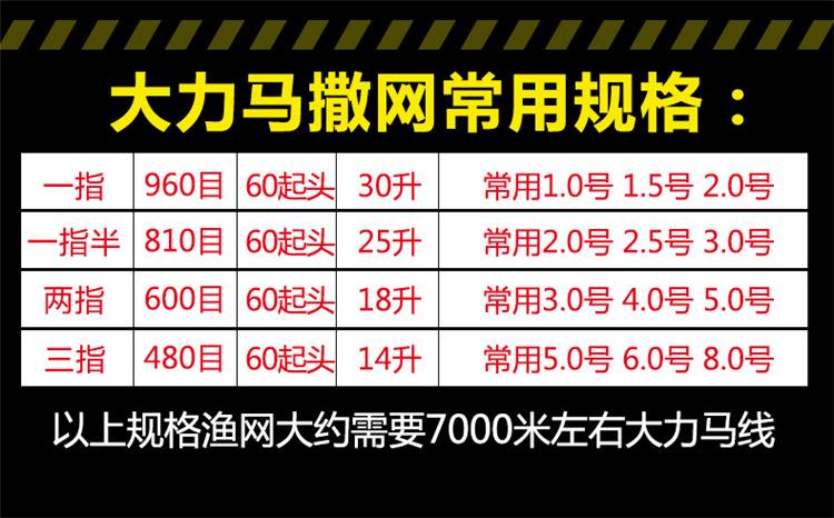细9.jpg