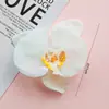 Decoração de Bolo de Aniversário Borda Estampada Vintage Gato Segurando Vovó Abençoada como Donghai Shoubi Nanshan Vestido de Panificação