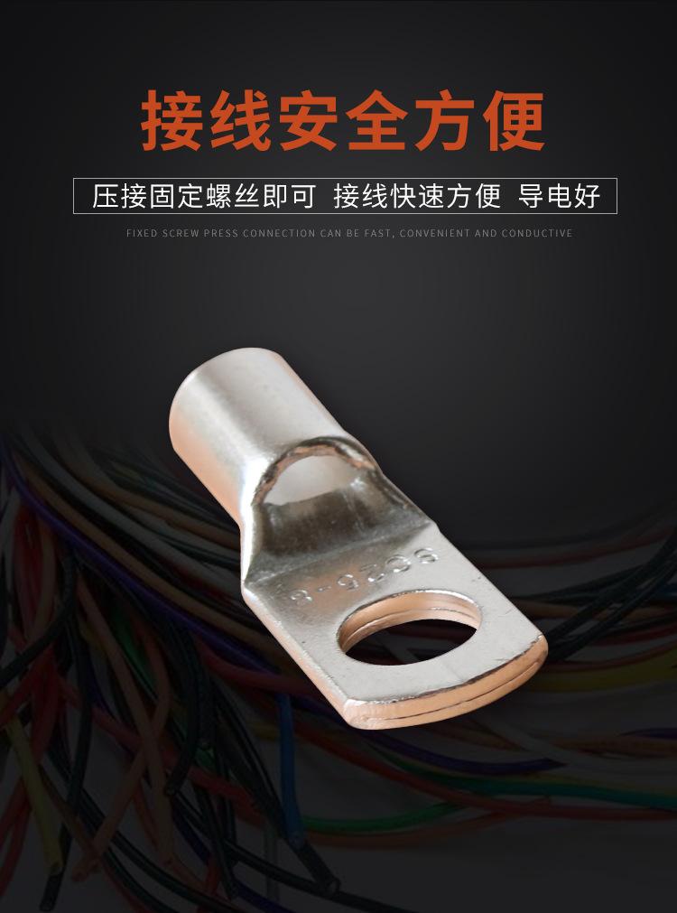 SC铜鼻子1_10.jpg