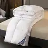 Colcha de algodón plumón otoño e invierno engrosada cálida núcleo de colcha doble de hotel ventas directas de fábrica colcha de regalo colcha de algodón para estudiantes dropshipping