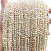 Jingde Joyería Perla de Agua Dulce Blanca Natural Doble Cara Lustrosa Agujero Horizontal Accesorios para Joyería DIY Fabricante de Cuentas Sueltas Venta al por Mayor
