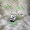 Búho de simulación Navidad animal pequeño regalo de Pascua juguete de peluche regalo regalo de cumpleaños gato de simulación se mueve