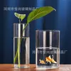 Plantas Hidropónicas Jarrón de Vidrio Recto Creativo Alto de Vidrio de Borosilicato Maceta de Flores Arte Arreglo Floral Jarrón Botella de Paisaje de Musgo