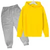 Suéter con capucha y forro polar para niños de otoño e invierno para comercio exterior, traje de suéter casual de color sólido para niños