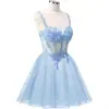 Estilo Nuevo 2026 Elegante Ceñidor de Cintura Sin Tirantes Malla Fiesta de Cumpleaños Dama de Honor Vestido de Noche para Mujeres, Suministro Transfronterizo