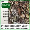 Sábila material medicinal chino Indonesia Cabo de Buena Esperanza crema de sábila bloque de sábila seca gel de sábila Lu Hui Lao Wei Ke moler hasta obtener polvo