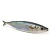 Luya Señuelo Blando de Caballa Impreso en 3D Caballa Blanda 15cm/33.5g Pez Simulado Caballa Blanda