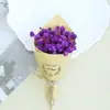 Flores Secas de Gipsófila Mini de 12 cm Flores Inmortales Ramo Pequeño Flores Reales con Caja de Regalo Decoración Navidad Transfronterizo