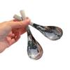 Cuchara de acero inoxidable de aspecto elegante cuchara de postre coreana cuchara redonda cuchara para el hogar para estudiantes cuchara de comedor cuchara pequeña cuchara para niños