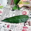 Papel de regalo hecho a mano con flores y hojas Rosa sosteniendo flor Hoja de flor material de rosa bolsa de plástico flor Rama de flor