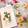 Garrafa de Água Transparente Marcador de Livro com Flores Secas Jardim de Infância Crianças Artesanato Manual Espécime de Planta Presente de Feriado Florista Salão