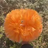 Pompones de porristas flores de mano flores de mano para bailar manijas para baile en plaza accesorios para agitar la mano no permitidos