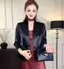 Outono 2026 Novo Estilo Blazer com Decote em U Cintura Marcada Versátil Simples Curto Manga Nove Pontos