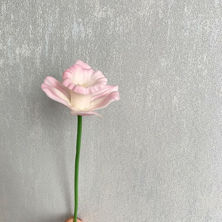 QQ图片20210420121554