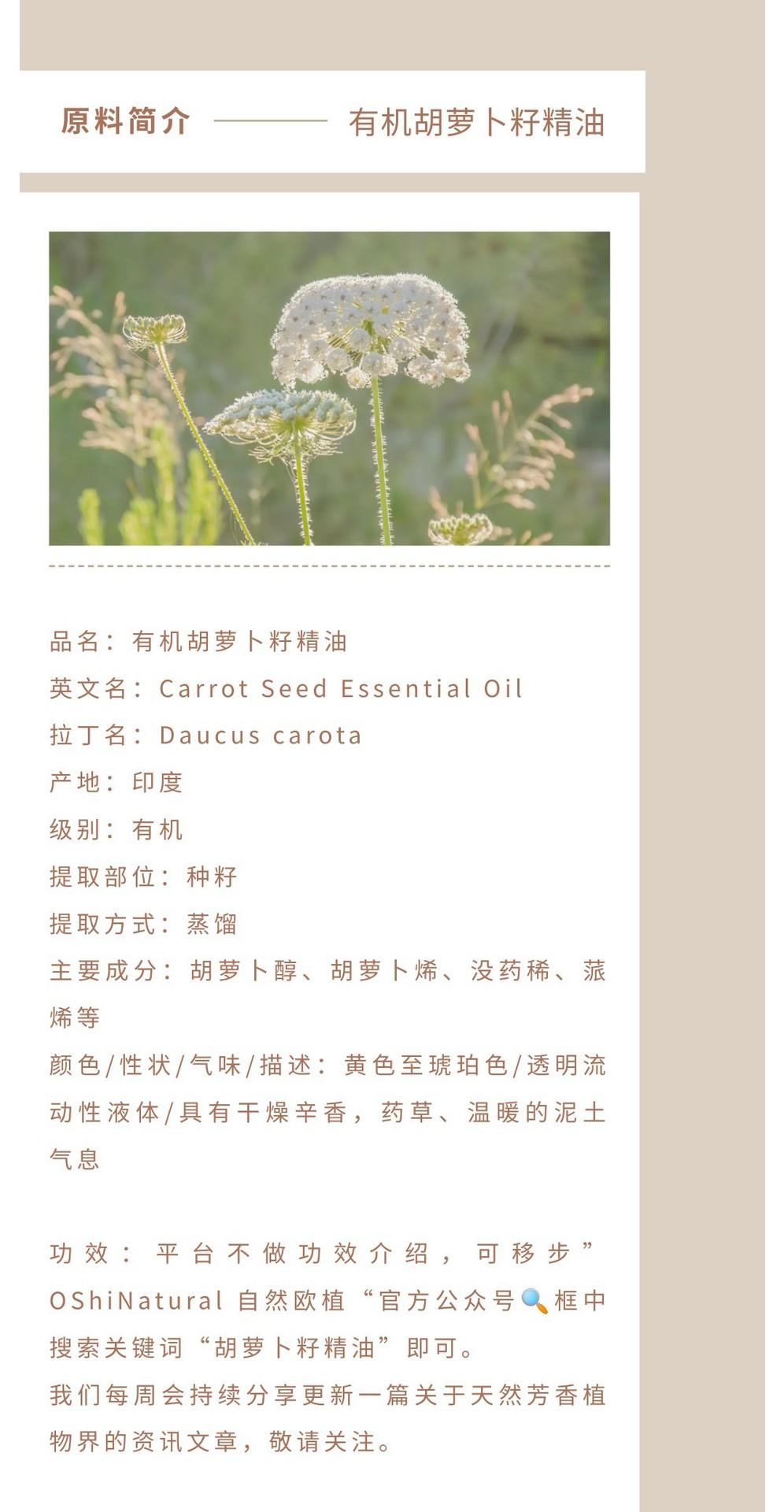 胡萝卜籽精油.jpg