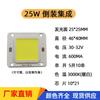 Suministro de Fuente de Luz Cob con Montaje abatible 4640 Integrada 5W-100W Foco LED Solar de Alta Potencia Sin Controlador