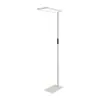 Lámpara de Estudio Vertical para Uso Doméstico, Lámpara de Pie Grande para Estudiantes, Lámpara de Pie de Espectro Completo para Proteger los Ojos para Estudiar, Estilo Chino