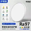Lámpara de techo para exteriores para balcones exteriores, luz a prueba de insectos e impermeable para entrada de villa, luz de alero, lámpara de triple protección para puerta, hierro