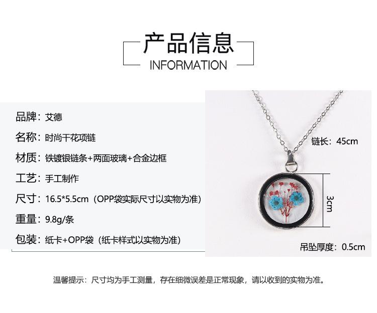 艾德_04.jpg
