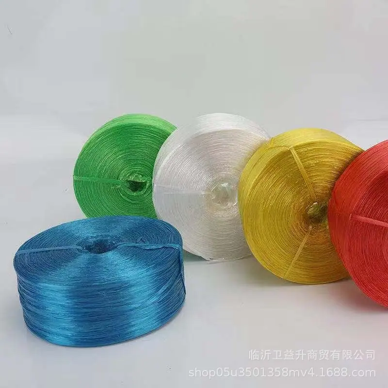 微信图片_20260117135559_5016_906.j