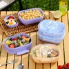 Lancheira Casual Estudante de Plástico de Camada Simples e Dupla com Tampa, Lancheira Portátil para Trabalhadores de Escritório, Lancheira para Salada de Frutas