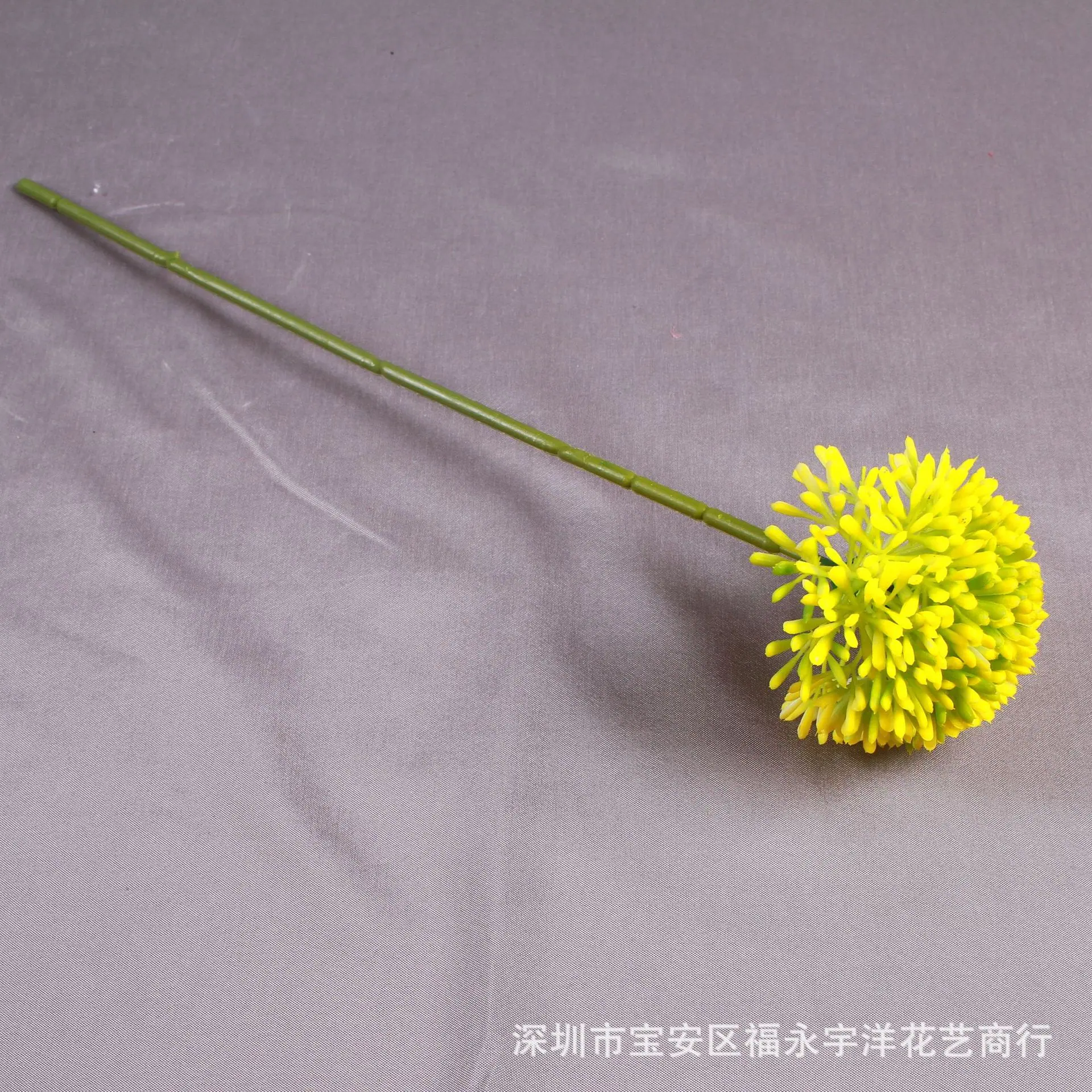 IMG_8580_副本.jpg