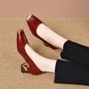 Sapatos de Salto Alto com Bico Quadrado para Mulheres 2025 Estilo Europeu e Americano Simples Elegante Designer Bico de Ferro Salto de Ferradura Sapatos de Calçar