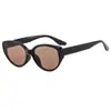 Nuevas Gafas de Sol Polarizadas Blancas Estilo Retro Ojo de Gato para Mujeres con Rostros Cuadrados y Redondos, Aspecto Adelgazante, Fotografía de Viajes, Gafas de Sol de Alta Gama