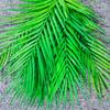 Set de Plantas Verdes Transfronterizo con 9 Hojas Grandes de Hierro de Palma Areca y Drácena, Adecuado para Decoración Interior y Exterior, Flores Artificiales