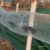 Jaula de Pista de Carrera para Ardillas, Juego Completo de Jaula para Ardillas con Túneles de Pista de Carrera, Red para Pista de Cría de Ardillas
