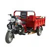 Triciclo a Gasolina Transfronteiriço para Transporte de Carga, Uso Agrícola, Alimentado por Bateria, Pesado, Capaz de Subir em Áreas Montanhosas, Triciclo Elétrico Doméstico de Alta Potência