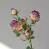 5 cabezas de rosa con borde quemado, flor artificial retro de seda, decoración de flores falsas, flores secas de imitación, ropa suave para el hogar, marchitar, secar, boda