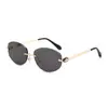 Nuevas Gafas de Sol Ovaladas Sin Marco con Cabeza de Serpiente para Hombres y Mujeres Gafas de Sol Retro Metálicas Europeas y Americanas Transfronterizas 2025 Transfronterizas