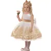 2026 Nuevo Vestido de Pasarela para Niñas de Amazon Vestido de Princesa Infantil Ropa Infantil Bordada para Halloween Vestido Tutú
